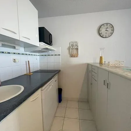 Apartamento Avec Clim, Parking - 4 Pers. - Fr-1-880-34 Agde